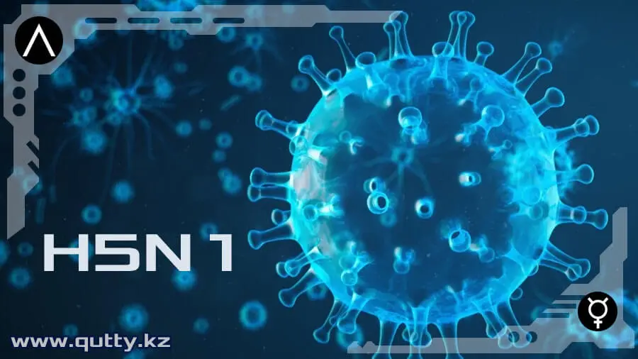 H5N1 АҚШ-тағы құс тұмауы: 12 қаңтар 2025